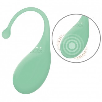 OEUF VIBRANT AVEC CONTRÔLE PAR APPLICATION PALPITATION ADRIEN LASTIC