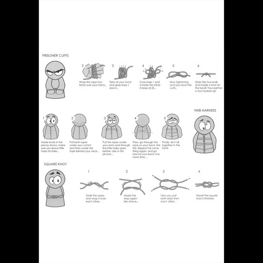 SHIBARI RESTRICTION ROPE 10 METERS