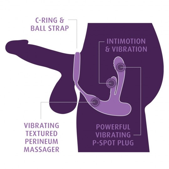 ASS-GASM INTIMOTION