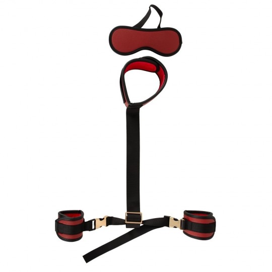 NECK TO WRIST BONDAGE SET