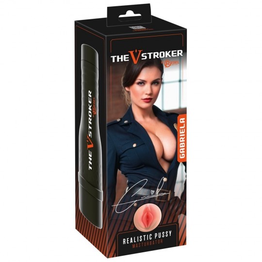 THE V-STROKER