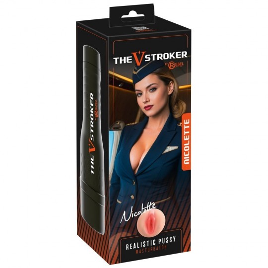 THE V-STROKER