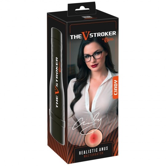 THE V-STROKER