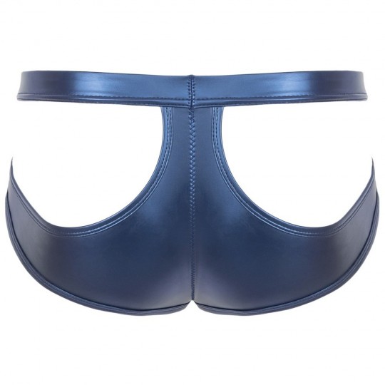 BRIEFS