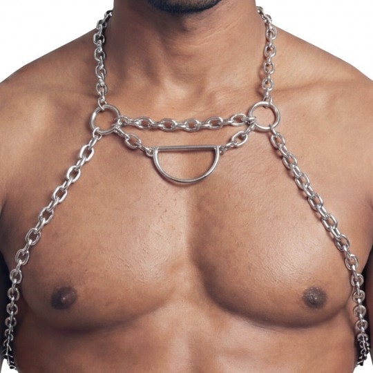 HARNESS