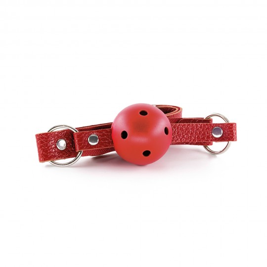 KIT BDSM DUNGEONS &amp; MAIDENS ROJO CRUSHIOUS