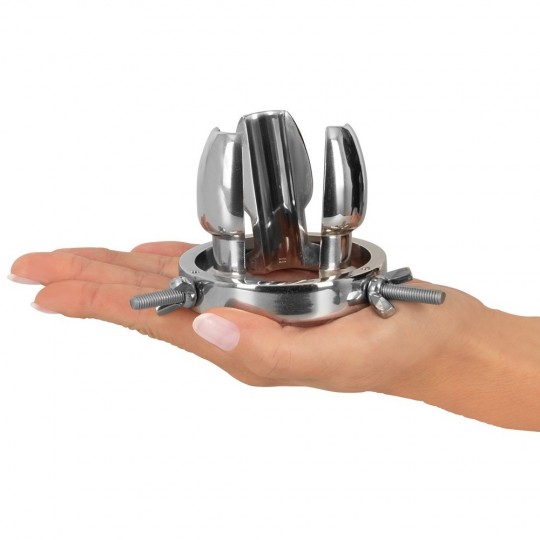 ANAL SPREADER