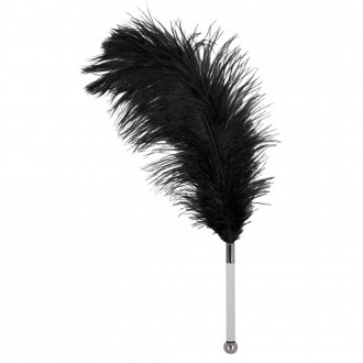 FEATHER TICKLER