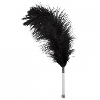 FEATHER TICKLER